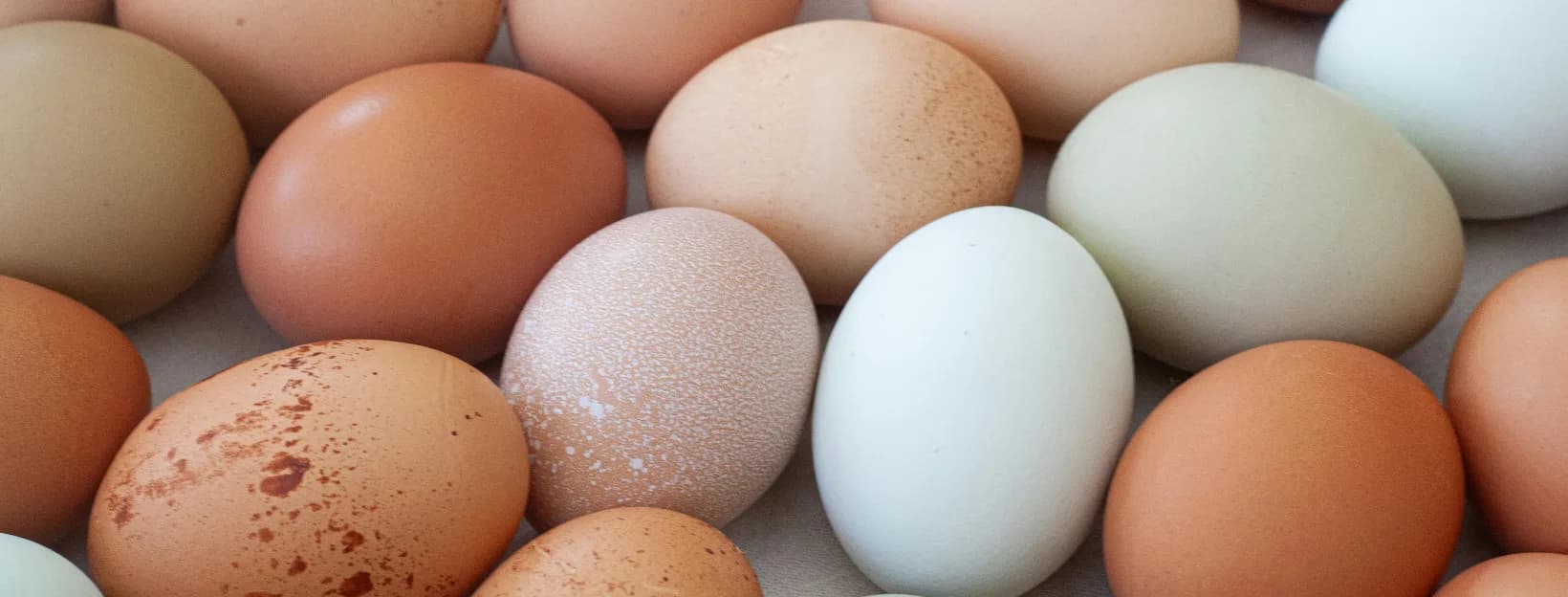 Omega-3s and DHA: Why Your Child's Brain Is Starving Even If They're Well-Fed