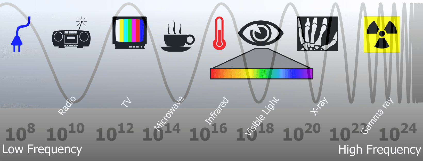 EMFs and Developing Brains: Separating the Data From the Hype