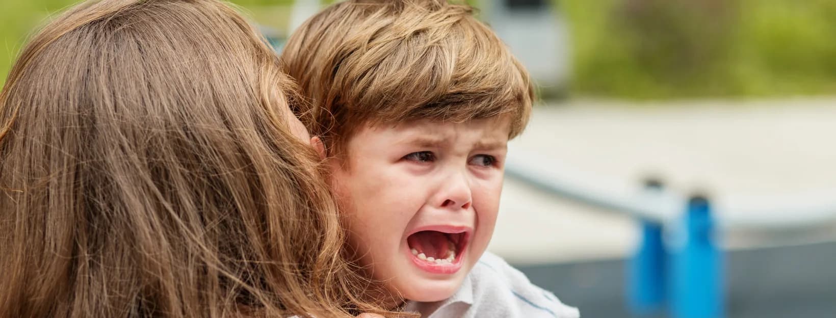 The Neuroscience of Attachment: Why "Independence Training" Backfires