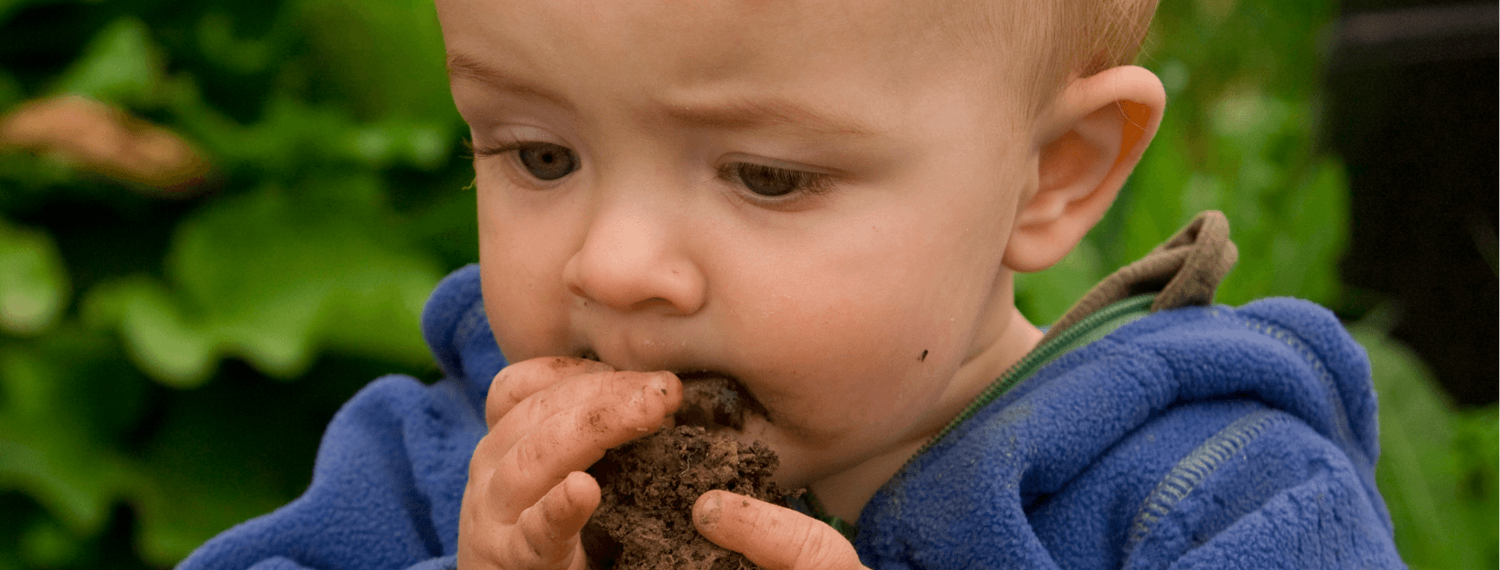 Cleaning Products Are Destroying Your Child's Microbiome