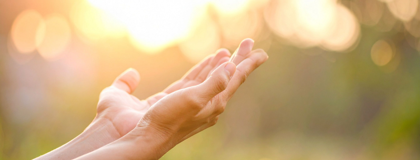 What Actually Works — Avaneuro